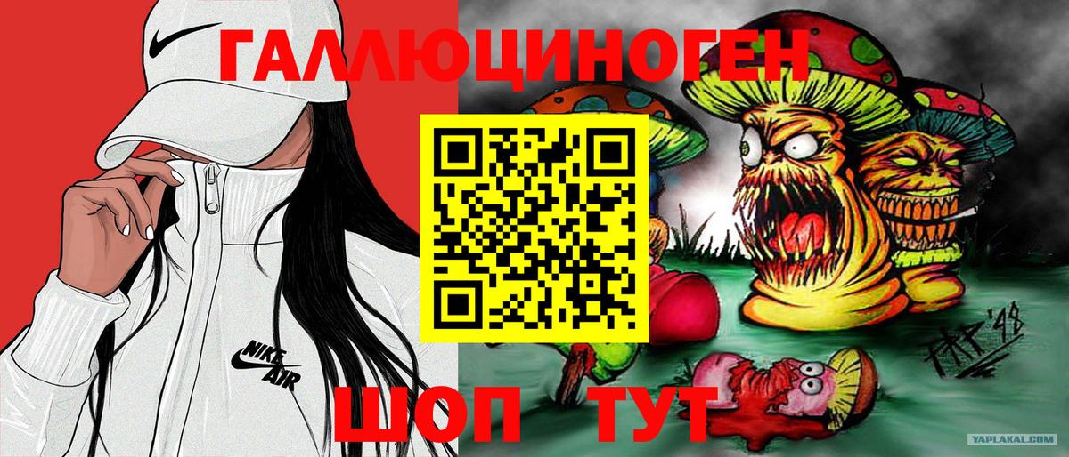 Краснознаменск  Галлюциногенные грибы GOLDEN TEACHER  Вход с VPN 