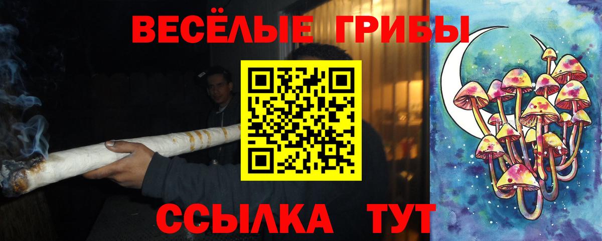 Галлюциногенные грибы мухоморы Краснознаменск