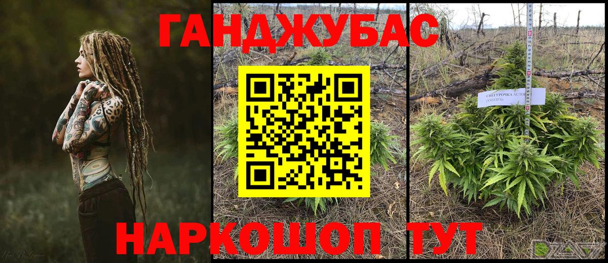 Конопля план  Вход с VPN  МАРИХУАНА индика  Краснознаменск  МАРИХУАНА семена 